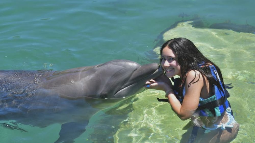 Aquaventure Dolphin Experience kkk
